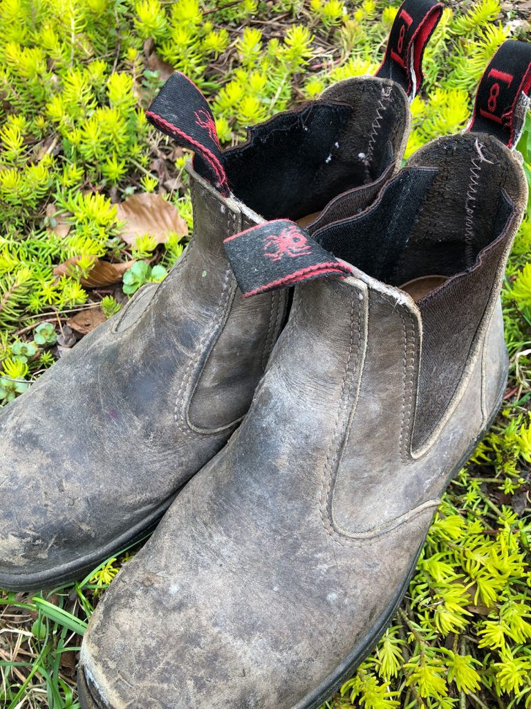redback boots canada